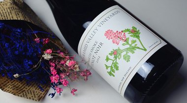 品種、產(chǎn)區(qū)和釀酒工藝：10組對比品鑒 助你快速掌握葡萄酒知識