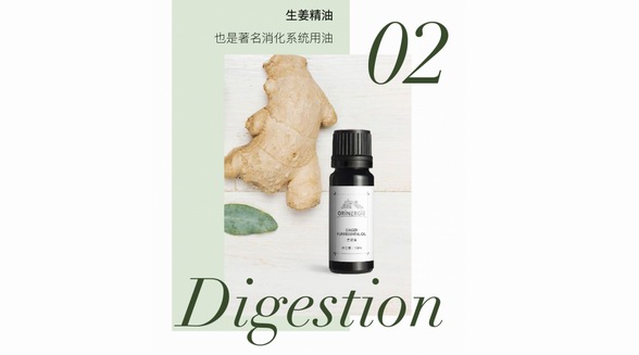 奧莉納吉精油立冬進(jìn)補—姜精油