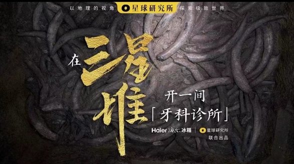 冰箱怎么守護(hù)象牙？三星堆實(shí)地探秘